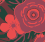 Standard / Winter Floral