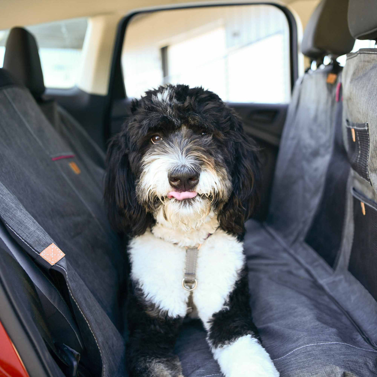 Pet Bench Seat Cover